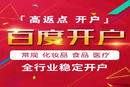 百度竞价推广成功案例解析